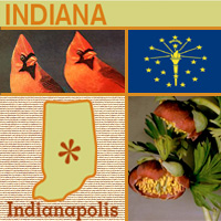 Indiana @ Consumer-Guides.info